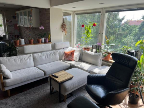 Cozy well connected - family apartment